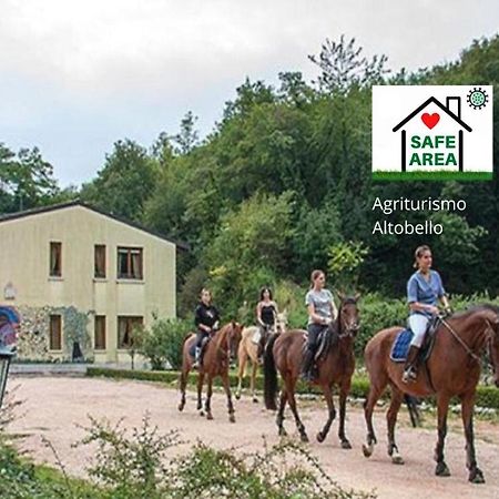 Agriturismo Altobello ヴェローナ エクステリア 写真