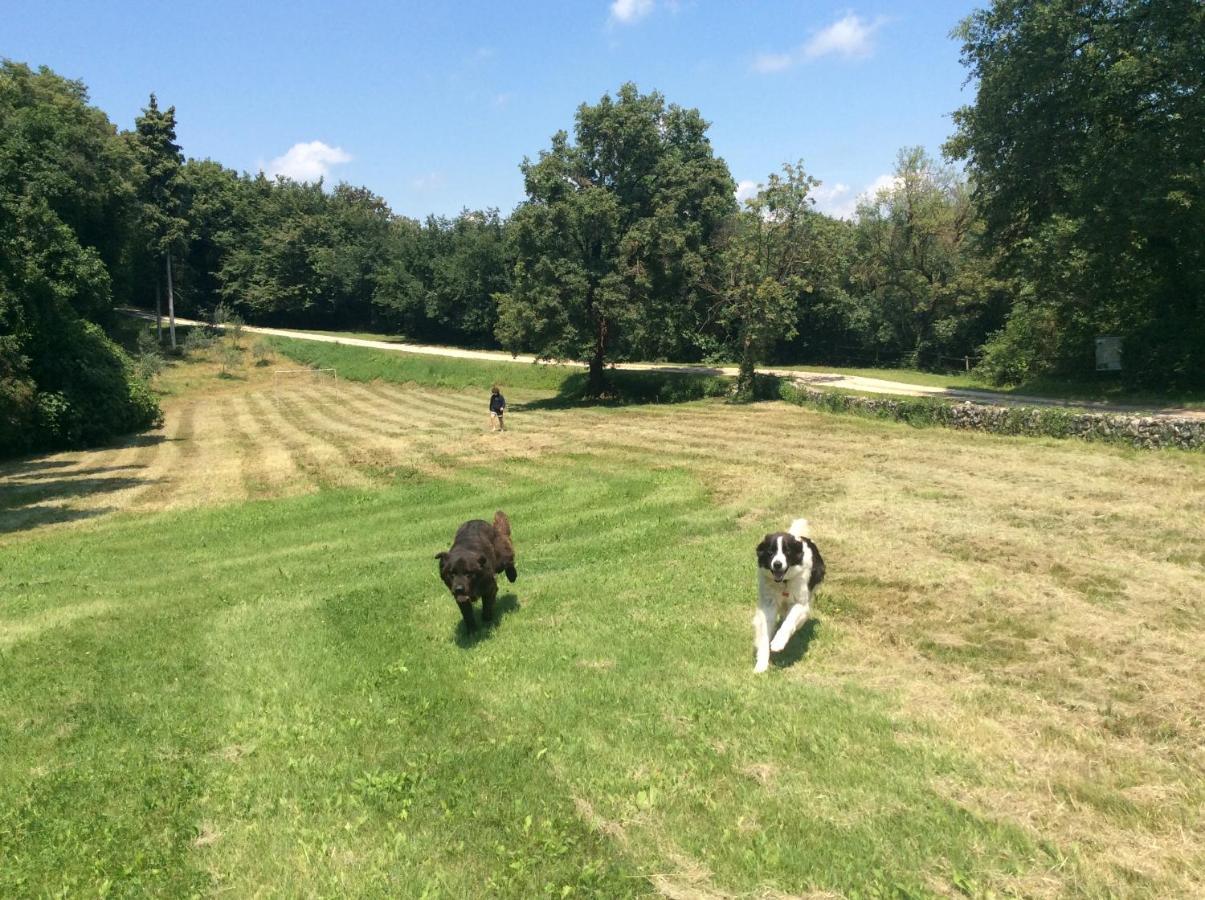 Agriturismo Altobello ヴェローナ エクステリア 写真
