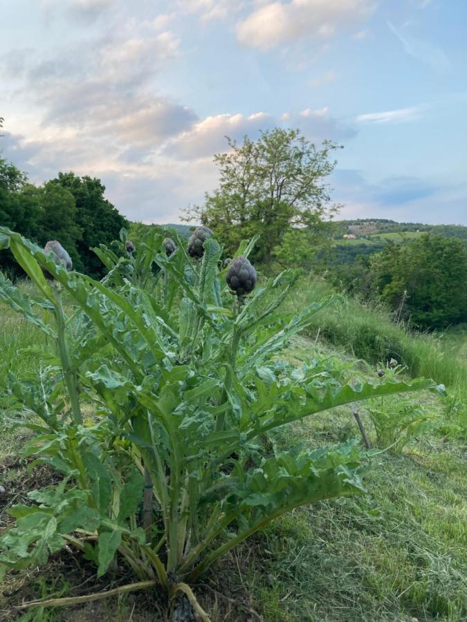 Agriturismo Altobello ヴェローナ エクステリア 写真