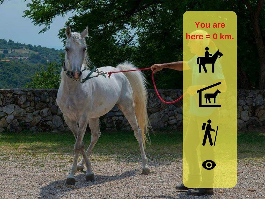 Agriturismo Altobello ヴェローナ エクステリア 写真