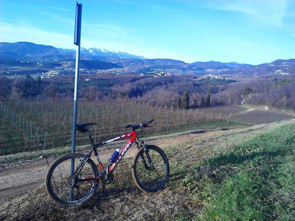 Agriturismo Altobello ヴェローナ エクステリア 写真