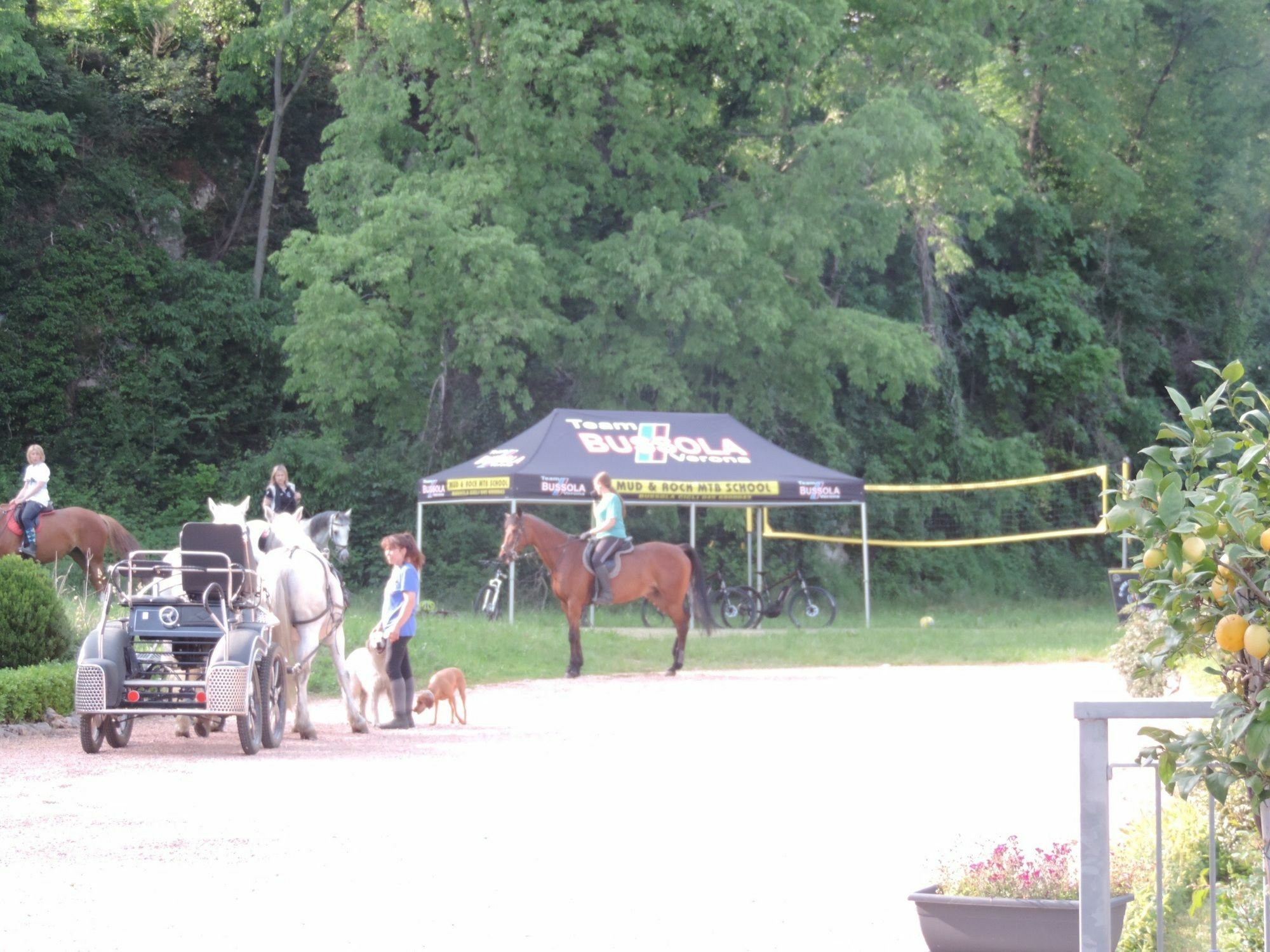 Agriturismo Altobello ヴェローナ エクステリア 写真