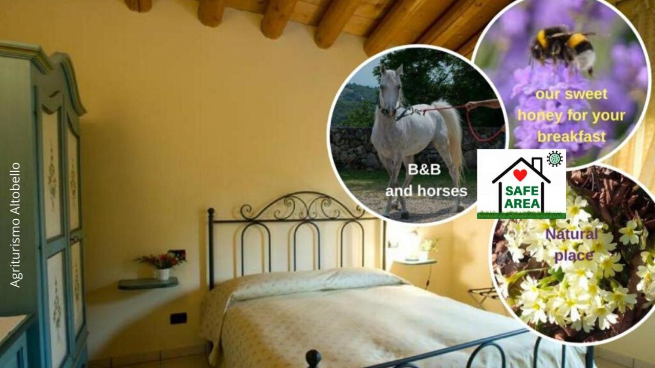 Agriturismo Altobello ヴェローナ エクステリア 写真